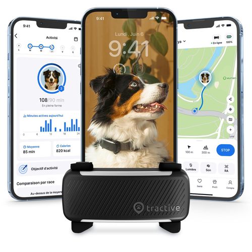 comparatif gps pour chien