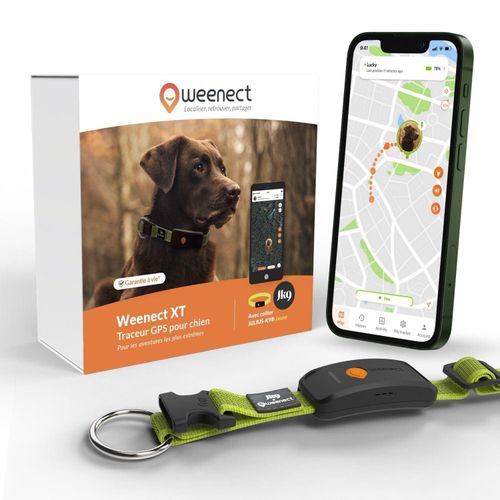 meilleur gps pour chien