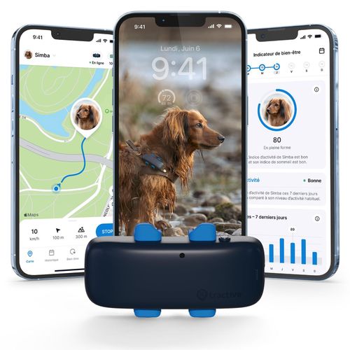 meilleur rapport qualite prix gps pour chien
