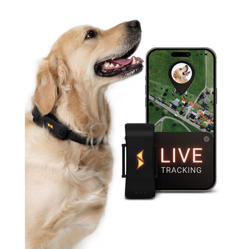 quel gps pour chien choisir