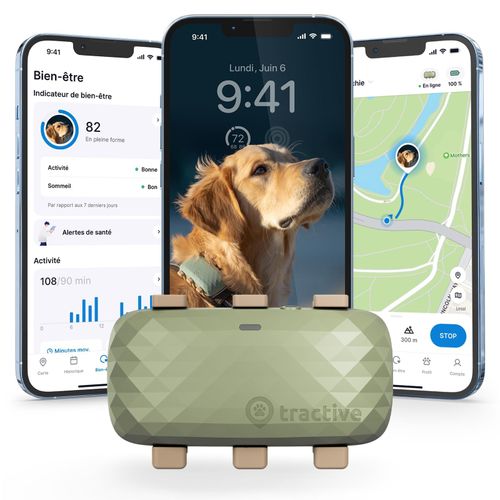 top gps pour chien